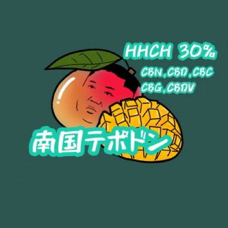南国テポドン