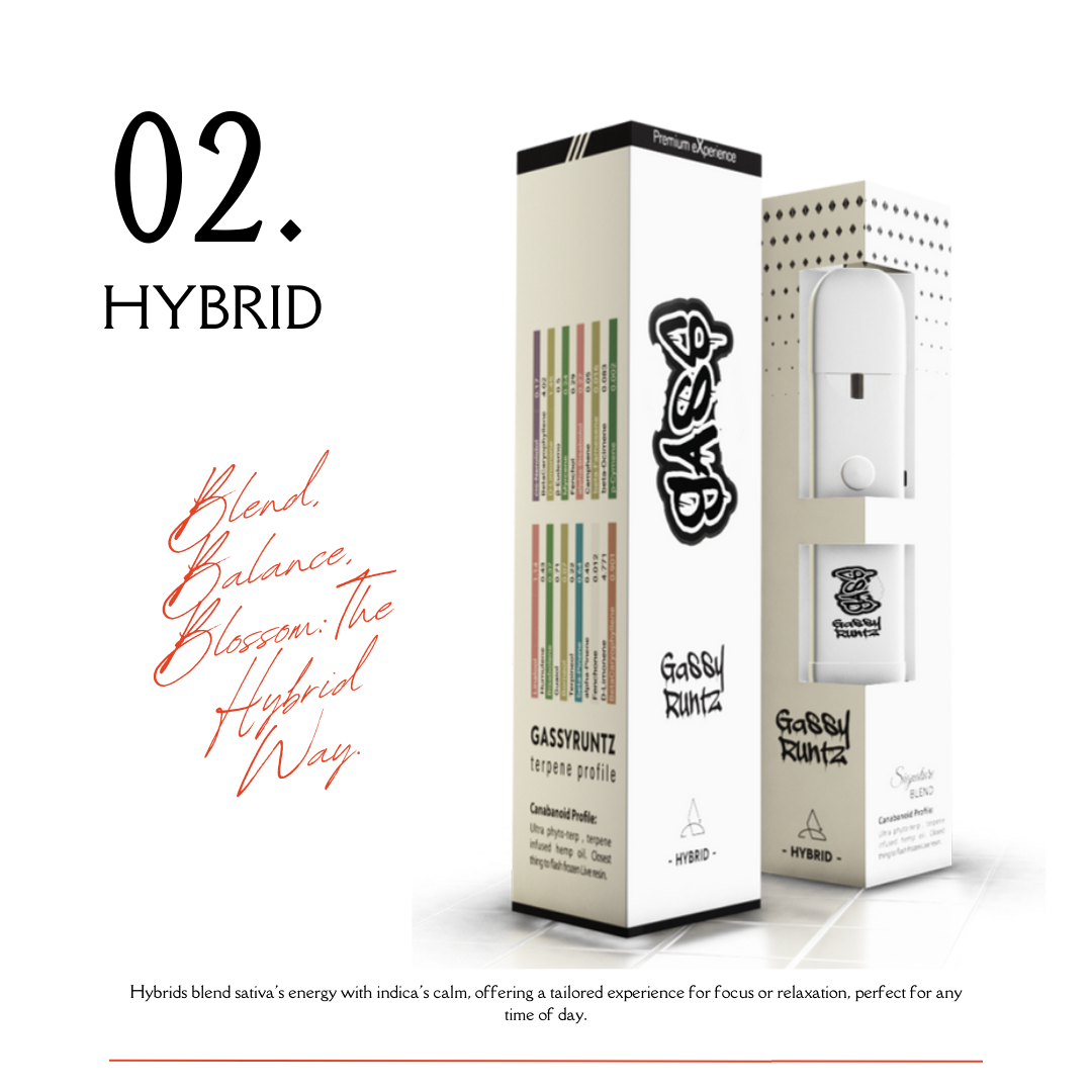 【Gassy Runtz】CBD-Hi GASS Disposable Vape