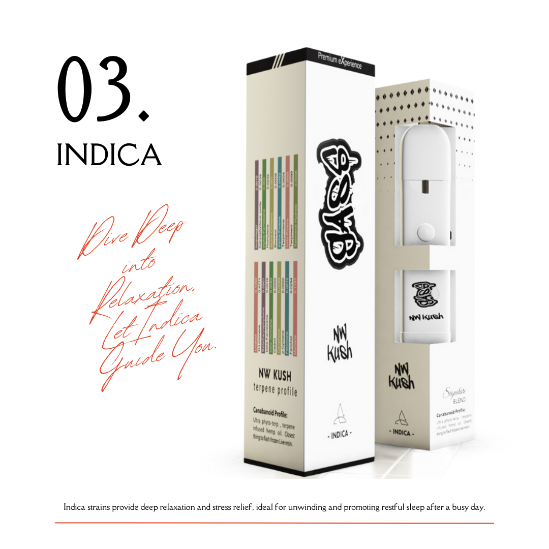 【NW Kush】CBD-Hi GASS Disposable Vape